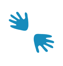 Project Dzidzor Logo